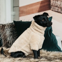 Kentucky Dog Sweater Teddy Fleece