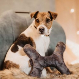 Kentucky Dog Toy Bone