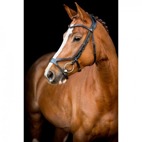 Montar bridle US Excellence