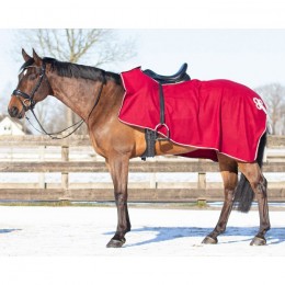 QHP Riding Rug Fleece Ornament