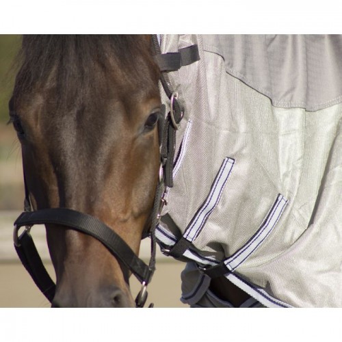 QHP Fly Rug Combo with Neck