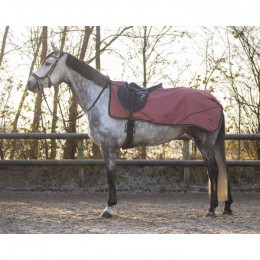 QHP FW'22 Exercise sheet turnout collection fleece