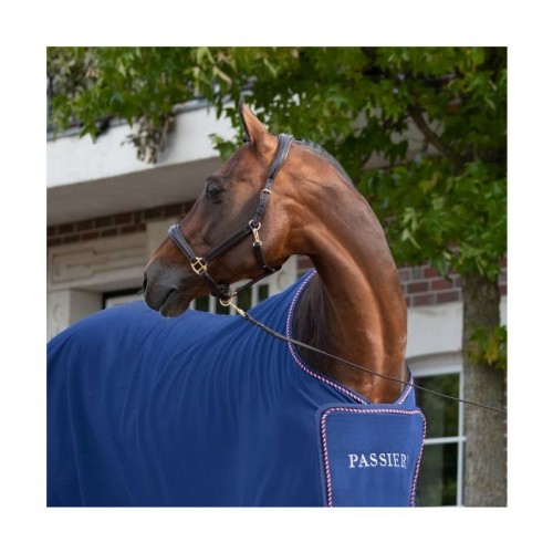 Passier Leather Stable Halter