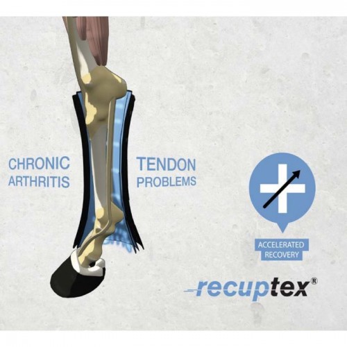 Kentucky Magnetic Bandage Pads Recuptex