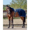 QHP lunging rug Florence