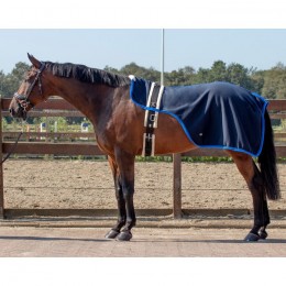 QHP lunging rug Florence