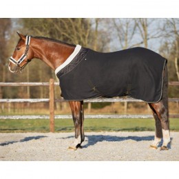 QHP Show Rug Menton