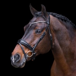 Imperial Riding FW'23 Bridle Olympia
