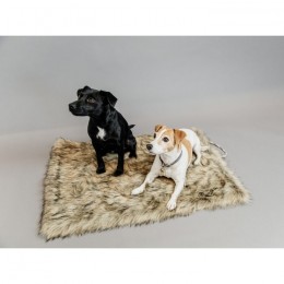 Kentucky Dog Bed Fuzzy Blanket To Go