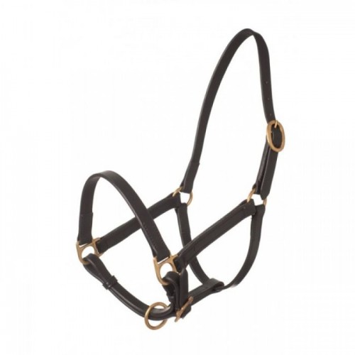 HB Leather Foal Halter