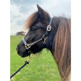 HB Showtime Rose Gold Leather Foal Halter