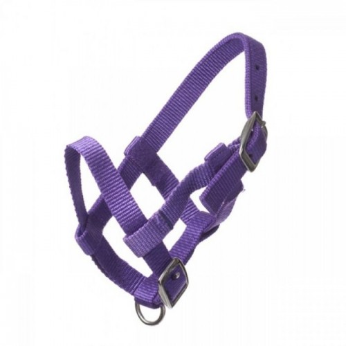 HB Nylon Mini Foal Halter