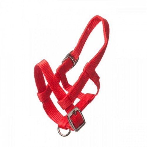 HB Nylon Mini Foal Halter