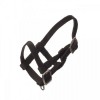 HB Nylon Mini Foal Halter