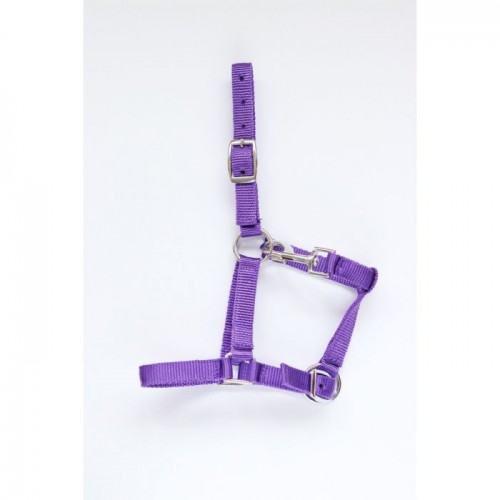 HB Pony Foal Halter Astrid