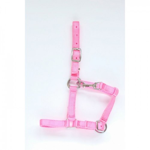 HB Pony Foal Halter Astrid