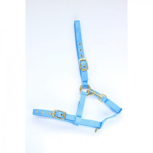 HB Nylon Foal Halter