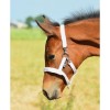 HB EQU-ALL Foal Halter