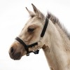 HB EQU-ALL Foal Halter