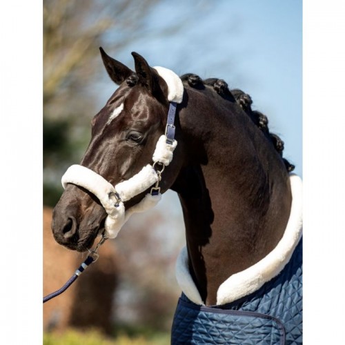 HB Showtime Steelblue Desir Fluffy halter