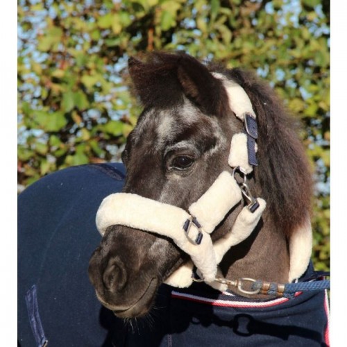 HB Showtime Harry and Hector Fluffy Halter Little sizes