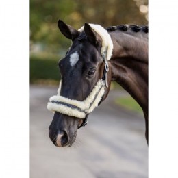 HB Showtime Leather Halter Removable Lining