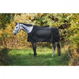 Montar Cooler rug