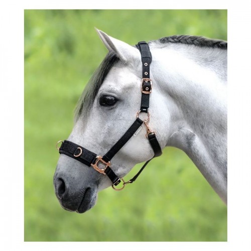 Waldhausen Lunging Halter Rosé