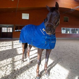Accuhorsemat Cooler with acupressure mats