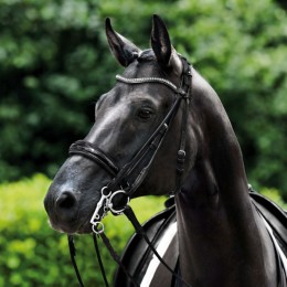 Passier rolled double bridle Icarus