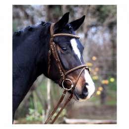 Waldhausen X-Line Bridle Santander