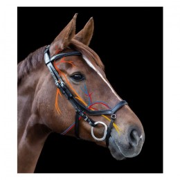 Waldhausen X-Line Bridle Relaxation
