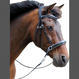 F.R.A Bitless bridle Abbey