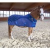 Accuhorsemat Cooler with acupressure mats