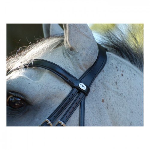 Dyon double bridle with large crack noseband