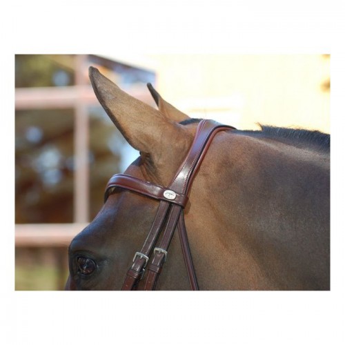 Dyon double bridle with large crack noseband brown, white padding