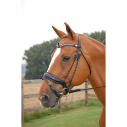 Dyon rolled bridle with a large crank noseband black