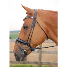 Dyon rolled bridle with a large crank patent noseband black
