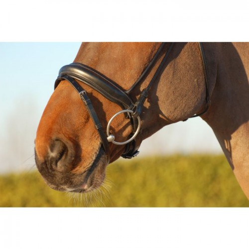 Dyon rolled bridle