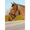 Dyon rolled bridle