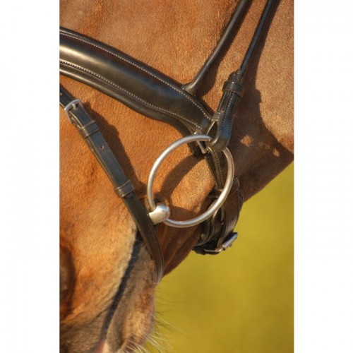 Dyon rolled bridle