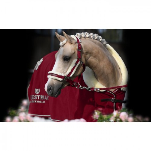 Equestrian Stockholm halter Bordeaux FW'19