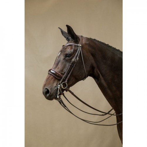 Dyon Double bridle with wide patent leather noseband