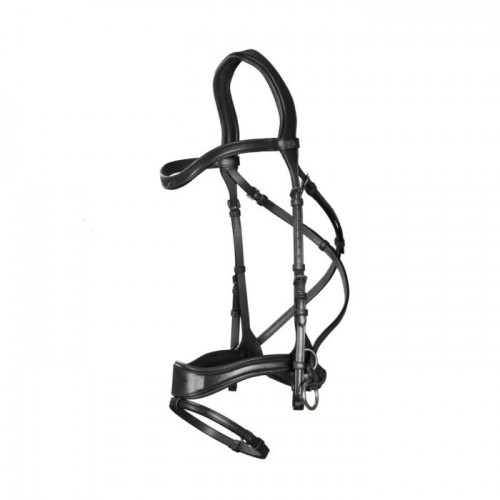 Dyon D Motion bridle