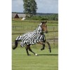 Bucas Buzz-Off Zebra Full Neck Pony