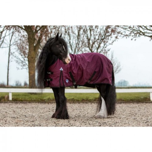 Master Winter Rug 1200D 100g Fig