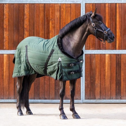 MASTER Stable Rug Deep Forest 100g