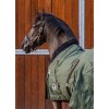 MASTER Stable Rug Deep Forest 100g
