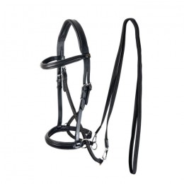 F.R.A. Bitless Bridle Dietsji