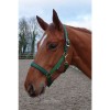 Bucas Dublin Halter Emerald Green